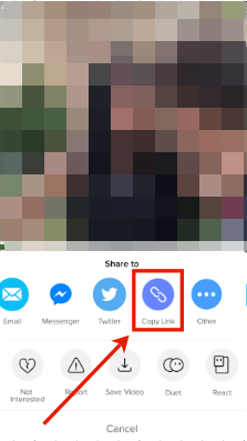 TikTok copy link button