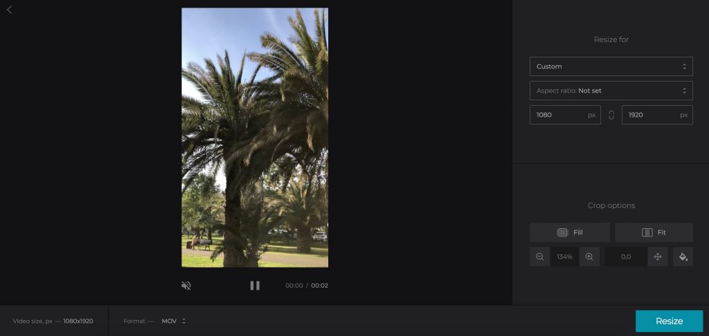 Resize button